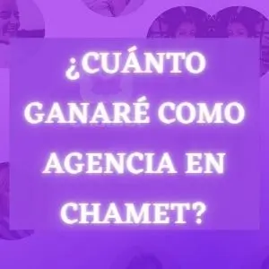 How much will I earn as an Agency in Chamet?